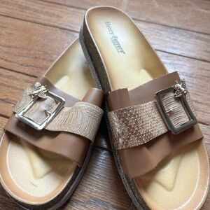 Used Henry Ferrera bee bee slides size 11 US